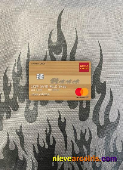 USA Wells Fargo bank mastercard brown photolook